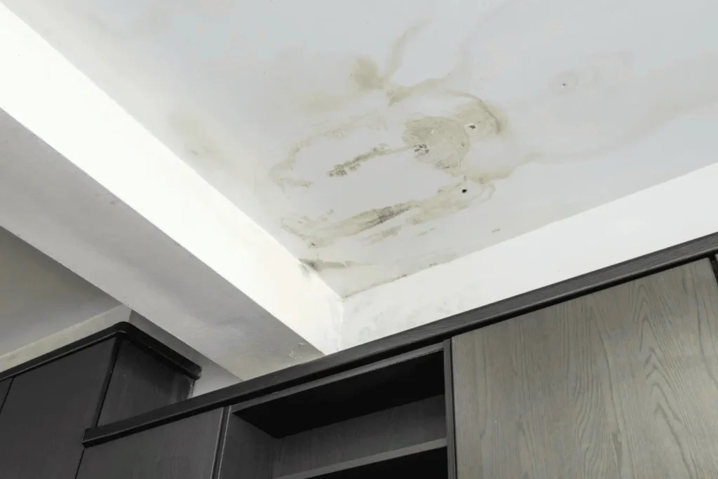 Water-damaged ceiling with visible moisture stains and droplets, indicating potential mold growth risk after water exposure.