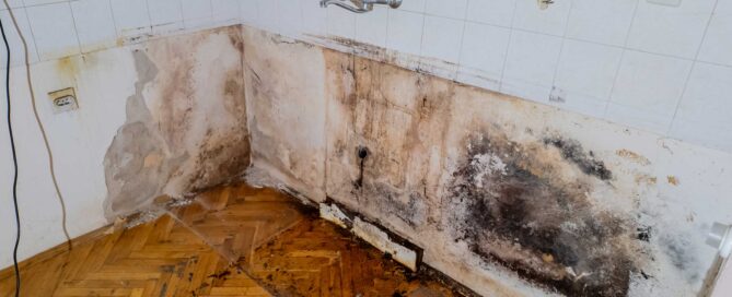 Mold growth on walls and floor due to water damage in a residential setting, highlighting the risks associated with untreated moisture.