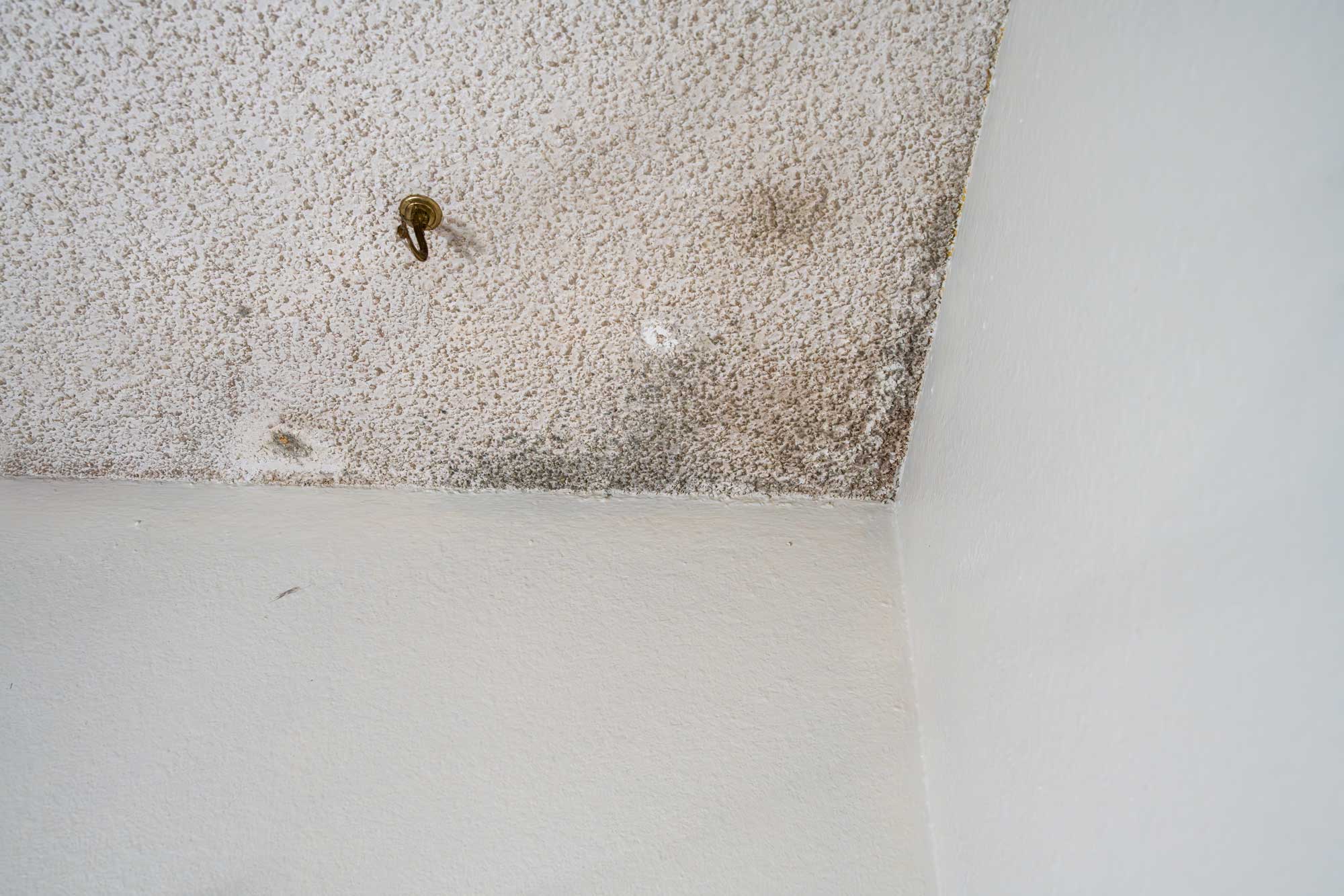 mold in the ceiling after water damage was not properly cleaned up by a restoration company