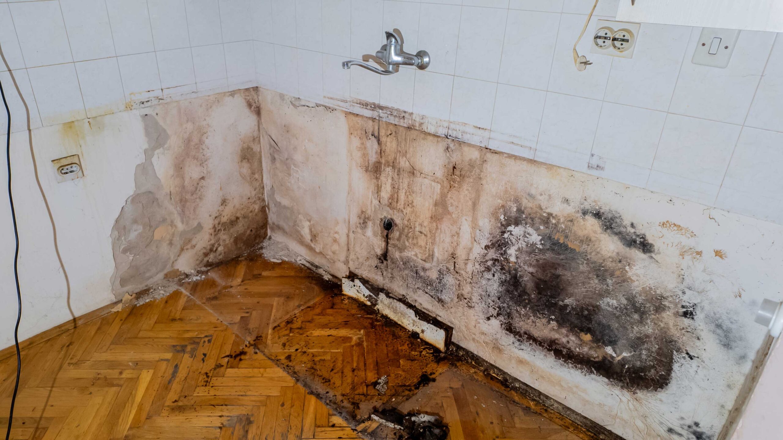a picture of mold caused by water damage after a flood.